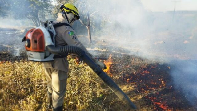 Cabo de alta tensão se rompe e provoca incêndio em vegetação na zona rural de Urutaí