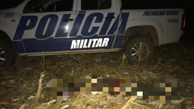 Corpo em decomposição é encontrado em milharal próximo a BR-050, em Campo Alegre de Goiás