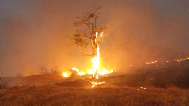 Bombeiros combatem incêndio às margens da BR-050, em Araguari