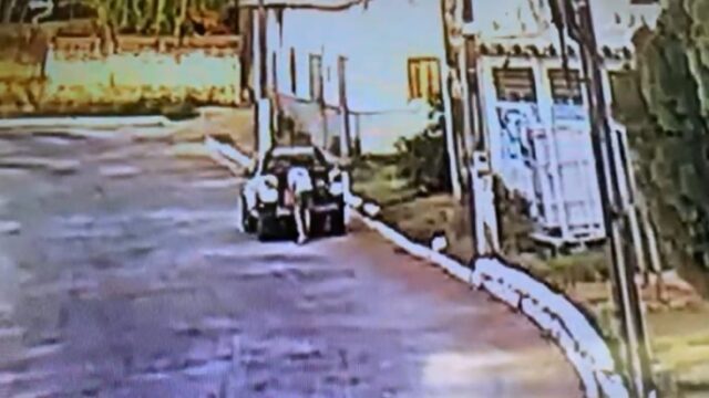 Homem abandona oito filhotes de cachorros e Polícia Civil de Goiandira investiga o crime; veja vídeo