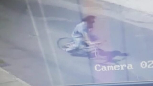 Homem é preso após furtar cachorra e câmera flagra a ação, em Catalão