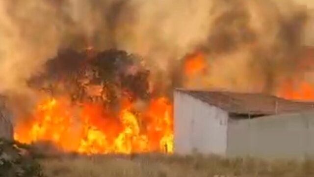 Vídeo: Incêndio em vegetação assusta moradores do bairro Village em Catalão