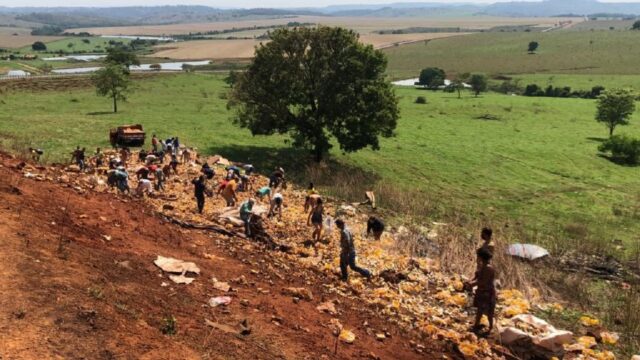 Vídeo: Caminhão carregado com cerveja tomba em Buriti Alegre e carga é saqueada