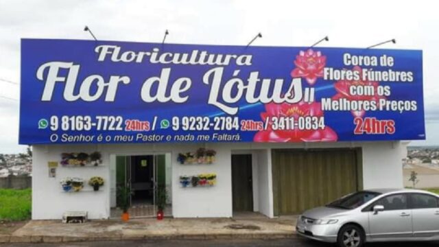Dia de Finados: floriculturas se preparam para a retomada das homenagens na data