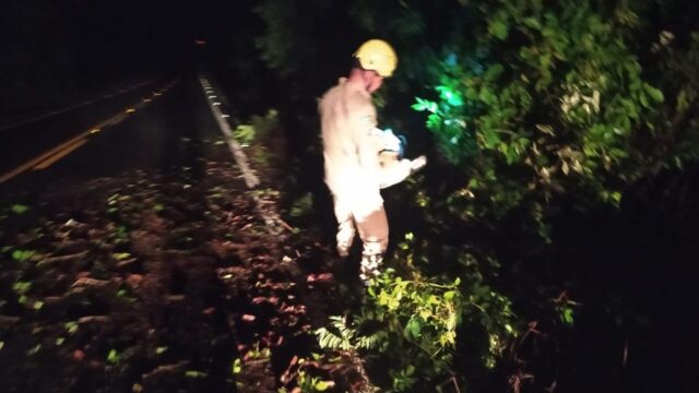 Bombeiros retiram árvore que caiu sobre a GO-213 após chuvas na zona rural de Ipameri