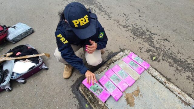 PRF prende passageira de ônibus com 20 quilos de maconha na BR 153, em Morrinhos