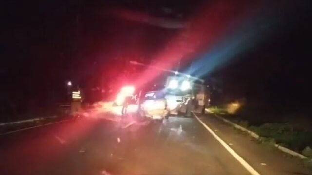 Motorista capota carro após desviar de tamanduá na GO-330 em Catalão