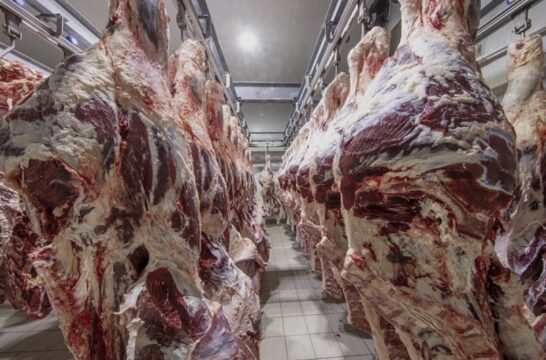 MPGO ajuíza ação para obrigar município de Catalão a instalar serviço de Inspeção de produtos animais e vegetais