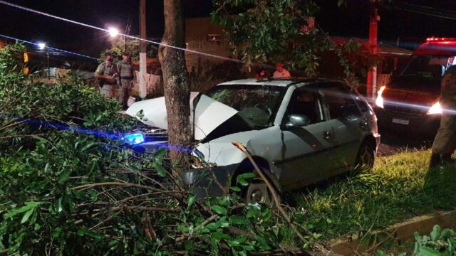 Carro sobe em canteiro central de avenida, colide com árvore e deixa duas pessoas feridas, em Catalão