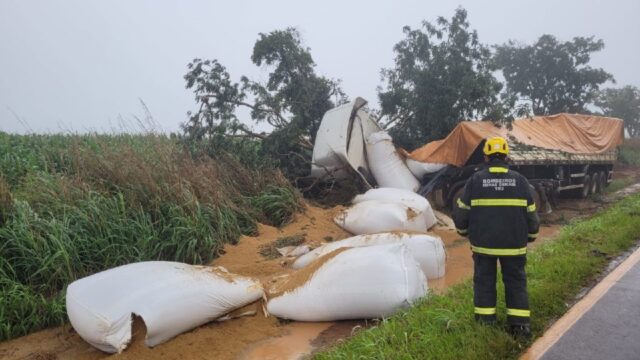 Carreta carregada com ração envolve em acidente na MG-223, em Araguari