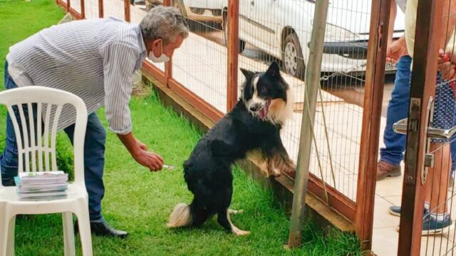 Ouvidor vacina mais de 660 cães e gatos em super dia "D"