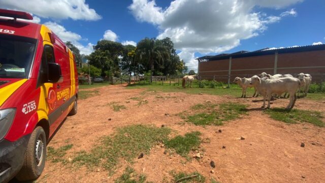 Idoso leva coice de boi em Três Ranchos e é encaminhado com fratura para hospital de Catalão