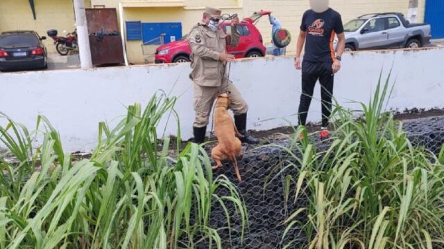 Bombeiros resgatam cachorro que caiu em córrego de Catalão