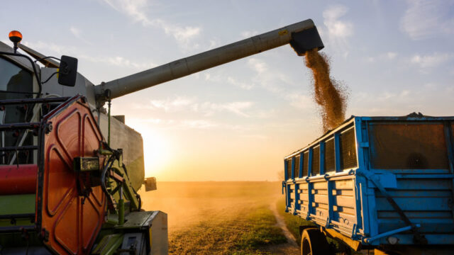 Agronegócio goiano exportou US$ 6,7 bilhões de janeiro a novembro de 2021