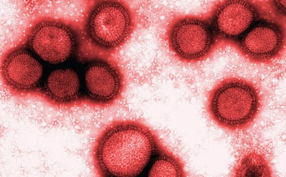 Catalão confirma primeiro caso de H3N2, diz Saúde