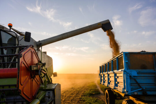 Agropecuária em Goiás deve fechar 2022 com Valor Bruto de Produção recorde