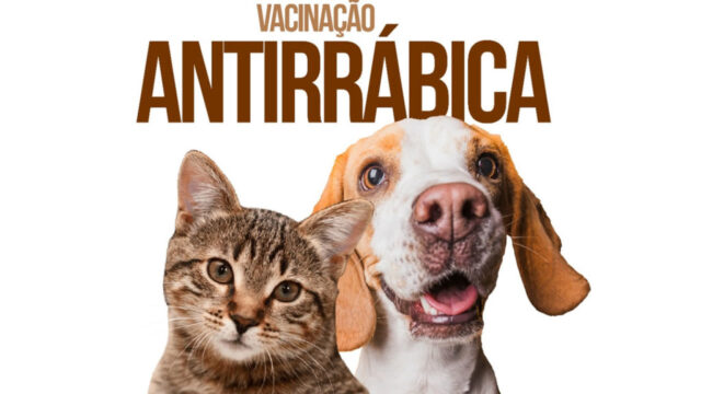 Ouvidor promove Dia D da campanha de vacinação antirrábica, neste sábado