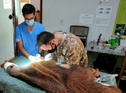 Voluntários do Cetas de Catalão desenvolveram pesquisas científicas relacionadas ao bem-estar e ao comportamento animal