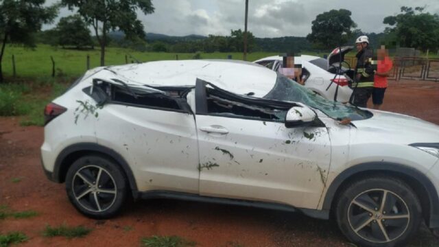 Árvore cai e atinge veículo na GO-139, entre Corumbaíba e Marzagão