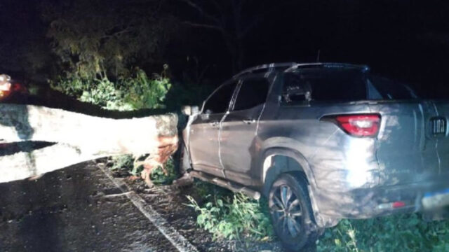 Árvore cai na GO-305, em Goiandira, e causa acidente com vítima ferida