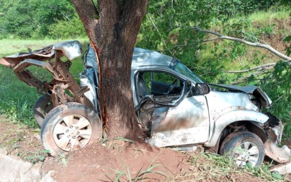 Caminhonete se parte ao meio após bater em árvore na GO-206, em Quirinópolis