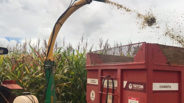 Em Três Ranchos, Prefeitura auxilia pequenos agricultores na produção de silagem