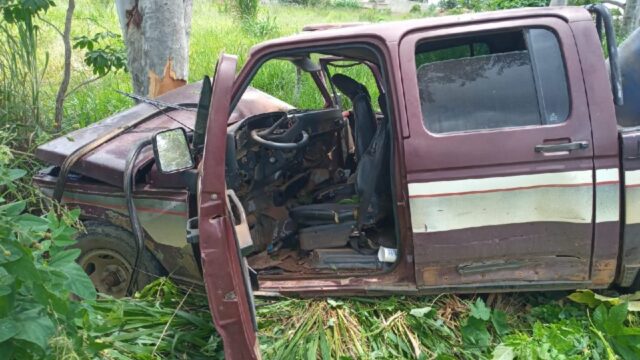 Motorista perde controle de veículo e colide contra árvore na GO-330 em Ipameri