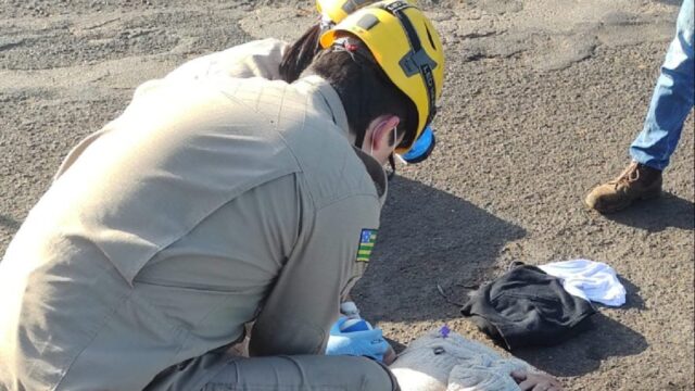 Ao desviar de bicicleta, motociclista se desequilibra e cai em rua de Catalão