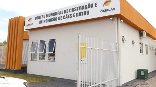 Centro de Castração e Reinserção de Cães e Gatos de Catalão vira referência para municípios do Estado