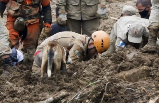 Número de mortes em Petrópolis chega a 169 e supera desastres de 1988 e 2011