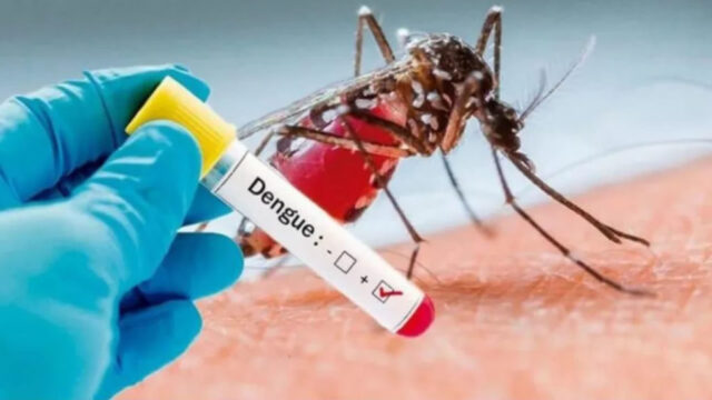 Goiás registra a primeira morte por dengue de 2022