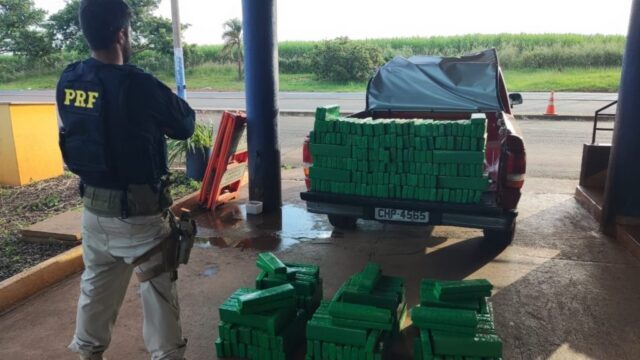 PRF apreende 305 kg de maconha em Itumbiara