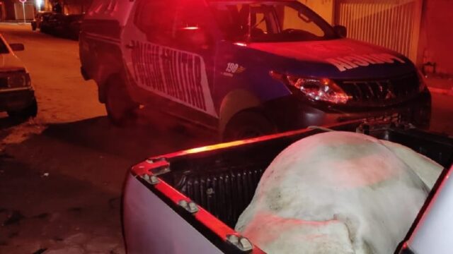 Homem é detido com novilha abatida em carroceria de picape, em Davinópolis