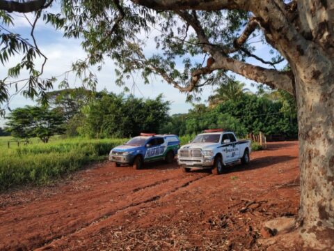 Operação Salinas combate subtração de gado em Catalão e Davinópolis