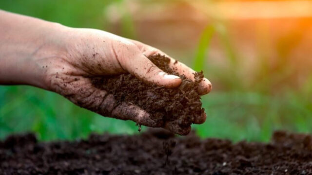 CMOC Brasil desenvolve novo fertilizante organomineral