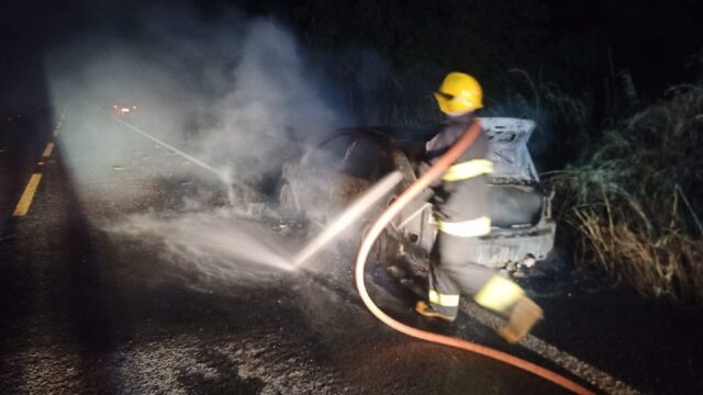Bombeiros combatem fogo em carro na GO-210 entre Goiandira e Nova Aurora