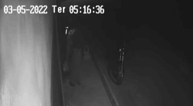 Catalão: homem abandona gato de estimação com bilhete misterioso em porta de residência
