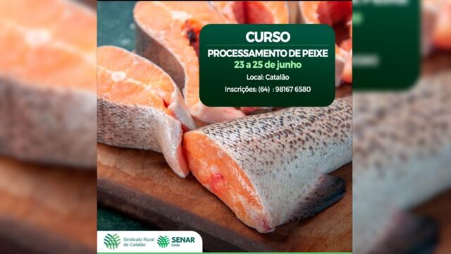 Sindicato Rural de Catalão abre inscrição para curso processamento de peixe