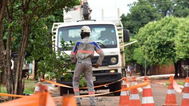 Enel anuncia plano preventivo com aumento de 125% em podas e 144% em manutenção