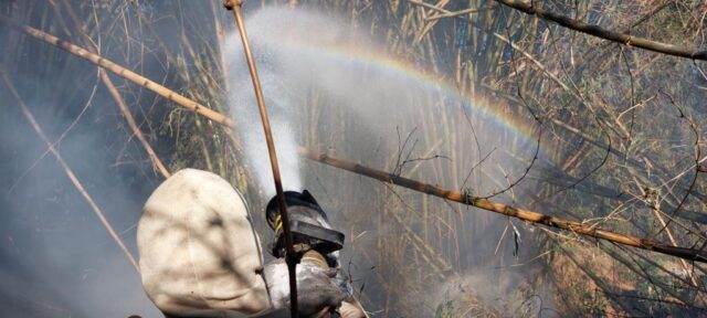 Bombeiros atendem incêndio em vegetação no bairro Pio Gomes, em Catalão