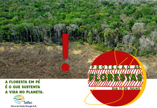 SEFAC celebra as florestas na data dedicada mundialmente a sua preservação