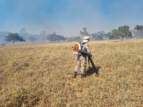 Corpo de Bombeiros de Catalão combate incêndio em vegetação na região da Mata Preta