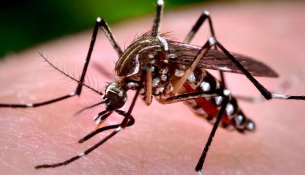 Municípios da região sudeste estão no mapa vermelho da dengue