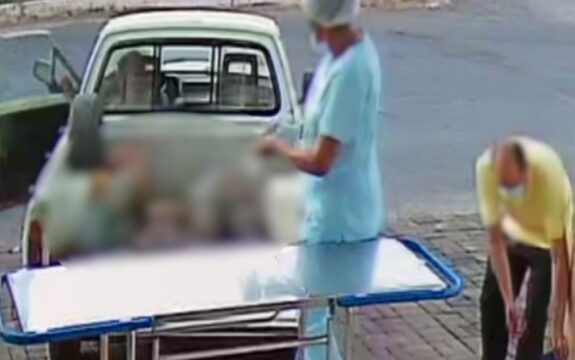 Irmãos se matam durante discussão por causa da forma de cuidar do gado, em Niquelândia, diz polícia