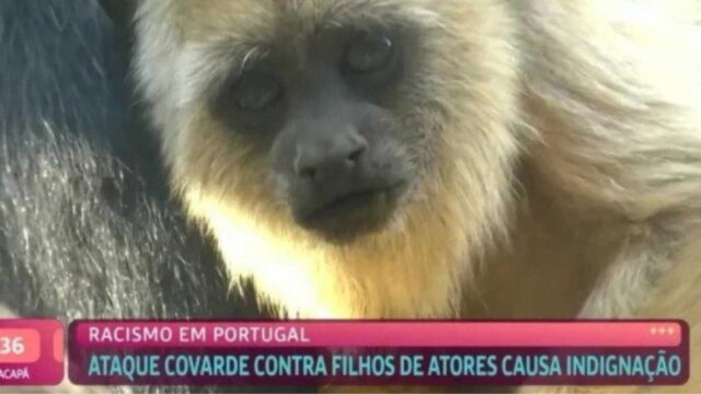 'Mais Você' exibe vídeo de macacos ao comentar caso de racismo
