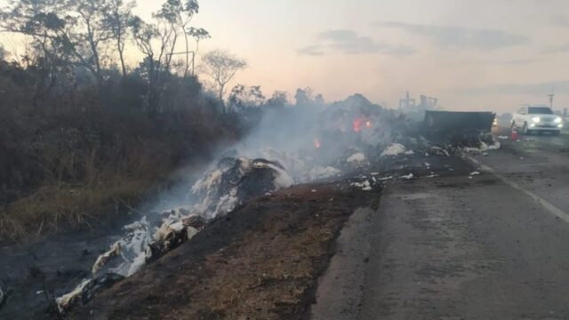 Carreta carregada com algodão pega fogo na BR-050 em Uberaba