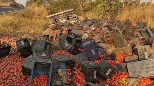 Motorista morre após capotar caminhão com tomates na GO-139 entre Caldas Novas e Ipameri