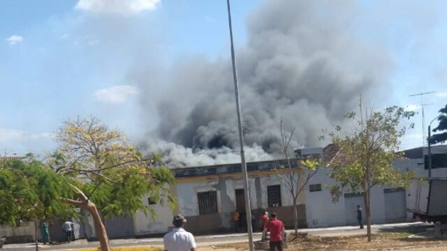 Corpo de Bombeiros combate incêndio em residência em Ipameri; veja vídeo