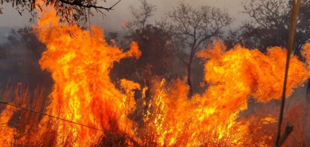 Bombeiros combatem incêndio de grandes proporções no Pasto do Pedrinho, em Catalão