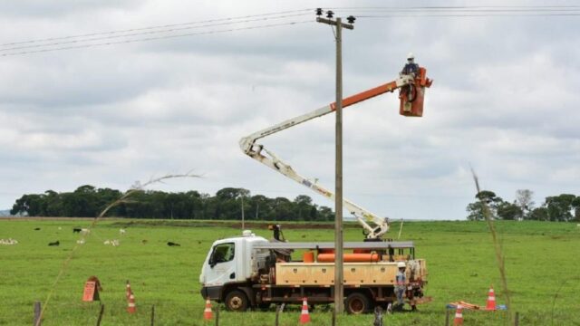 Plano Rural: Enel já realizou 100 mil podas nos primeiros seis meses do ano
